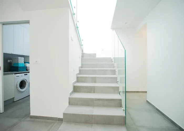 Olive * Трогир