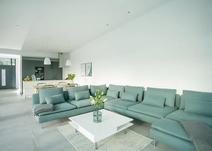 Olive 别墅 特罗吉尔