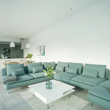 Olive فيلة تروغير